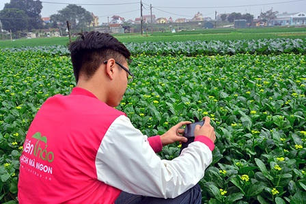 Cận cảnh quy trình sản xuất rau sạch Liên Thảo