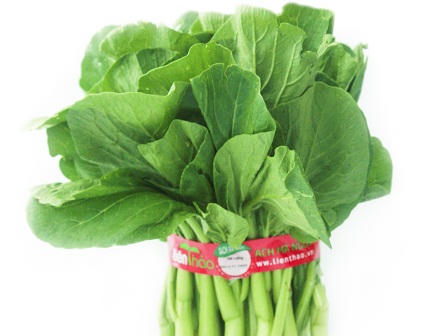 Cận cảnh quy trình sản xuất rau sạch Liên Thảo