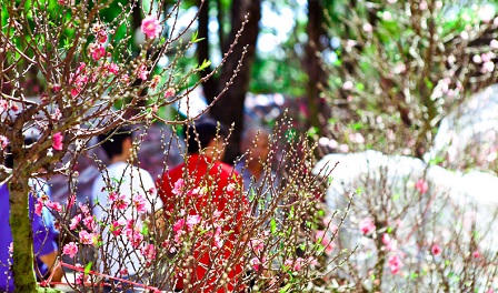 Đi chợ tết xưa – đi chợ tết nay