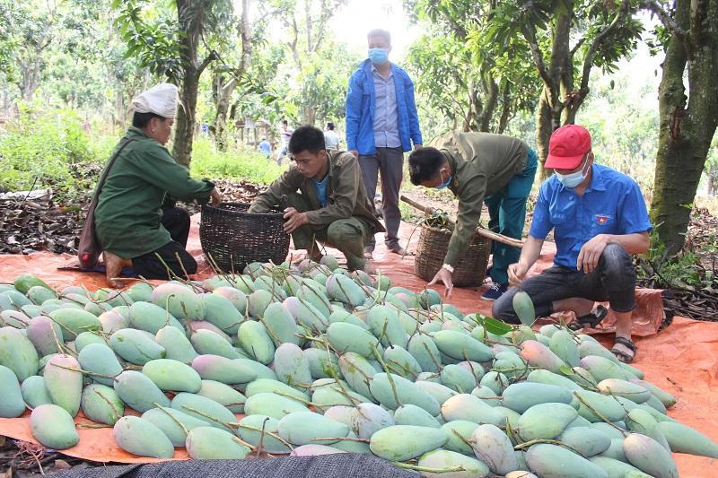 Mường La thực hiện “mục tiêu kép” vừa phòng chống dịch, vừa phát triển sản xuất
