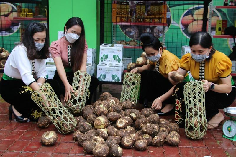 Quảng bá thương hiệu khoai sọ Thuận Châu