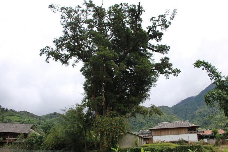 Mường La nơi trải nghiệm du lịch hấp dẫn