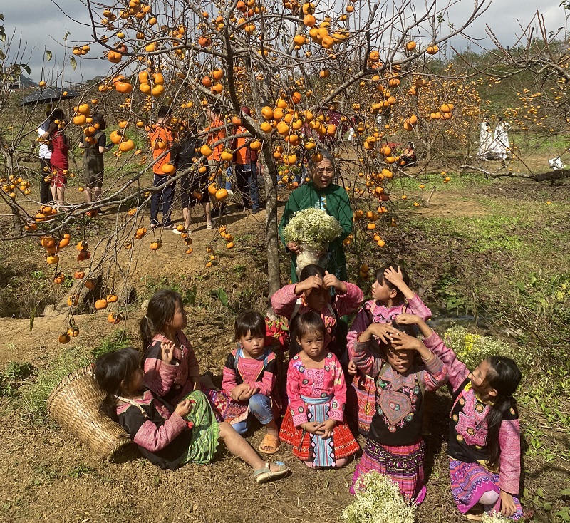 Mùa hồng đỏ rực trên cao nguyên Mộc Châu 