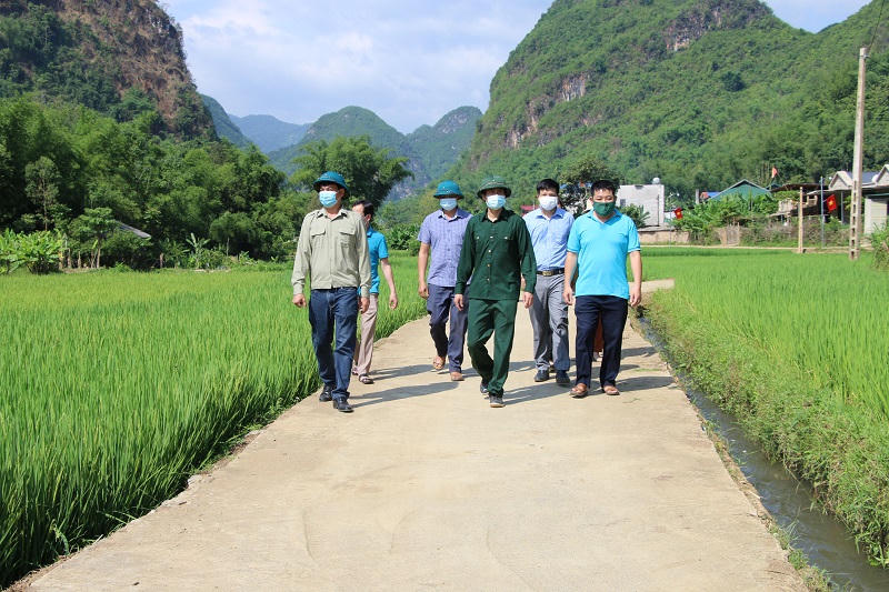 Sơn La phấn đấu cứng hoá 100% đường đến trung tâm xã