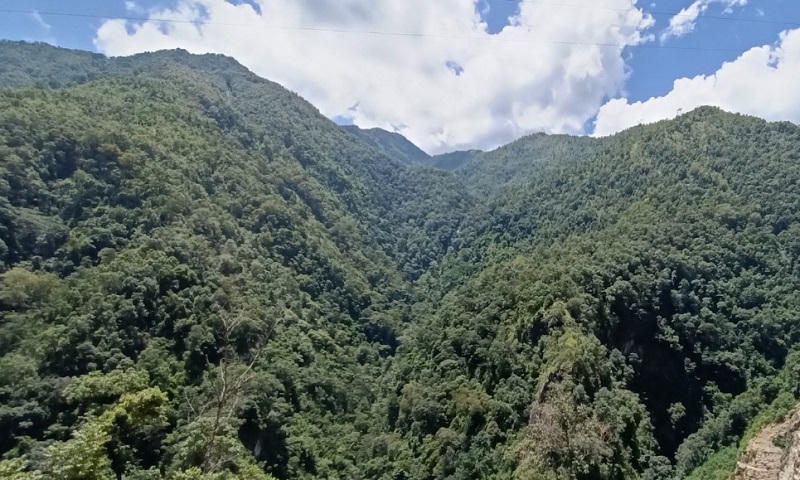 Giữ cho rừng biên cương luôn xanh mãi