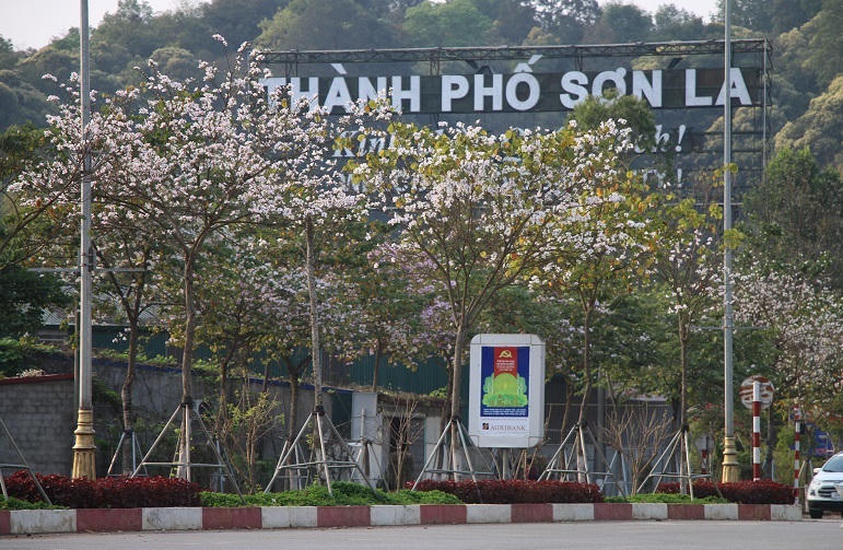 Chuỗi sự kiện sẽ diễn ra tại Lễ hội “Mùa hoa ban” ở Sơn La