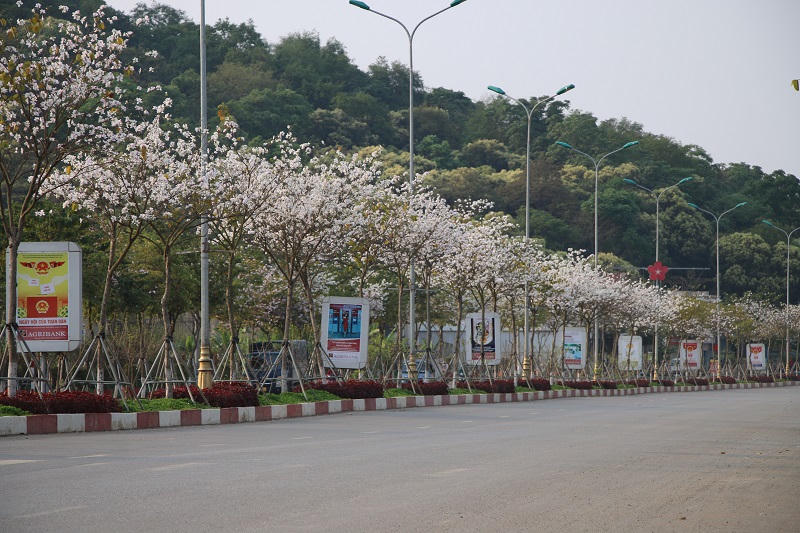 Chuỗi sự kiện sẽ diễn ra tại Lễ hội “Mùa hoa ban” ở Sơn La