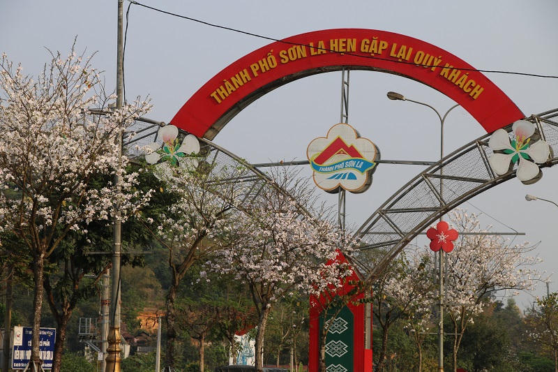 Rực rỡ lễ hội “Mùa hoa ban” ở Sơn La