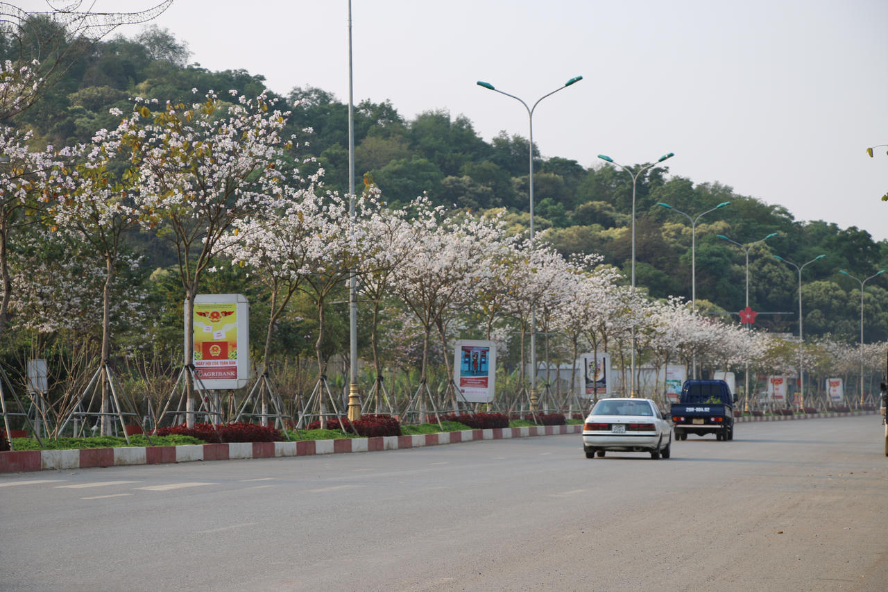 Rực rỡ lễ hội “Mùa hoa ban” ở Sơn La