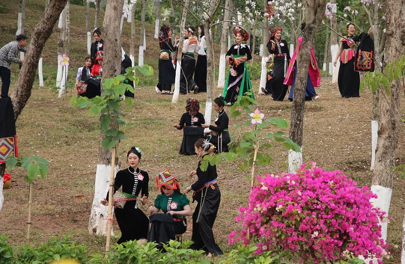 Ngắm những thiếu nữ “xinh như mộng” giữa hội hoa ban Sơn La