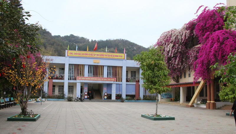 Mê mẩn ngắm giàn hoa giấy nở đẹp rực rỡ phủ quanh trường học