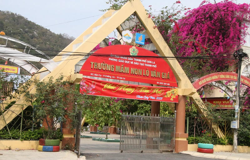 Mê mẩn ngắm giàn hoa giấy nở đẹp rực rỡ phủ quanh trường học