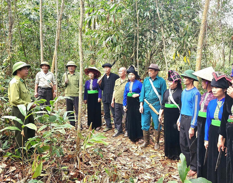 Chuyện người cao tuổi giữ rừng ở Điện Biên