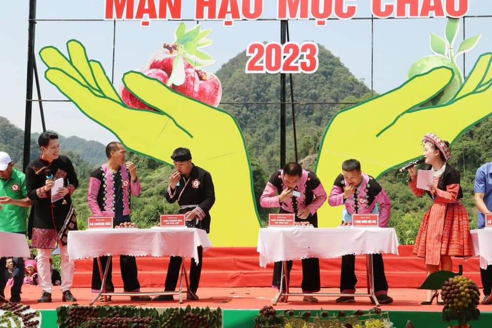 Rộn ràng ngày hội hái quả trên cao nguyên Mộc Châu