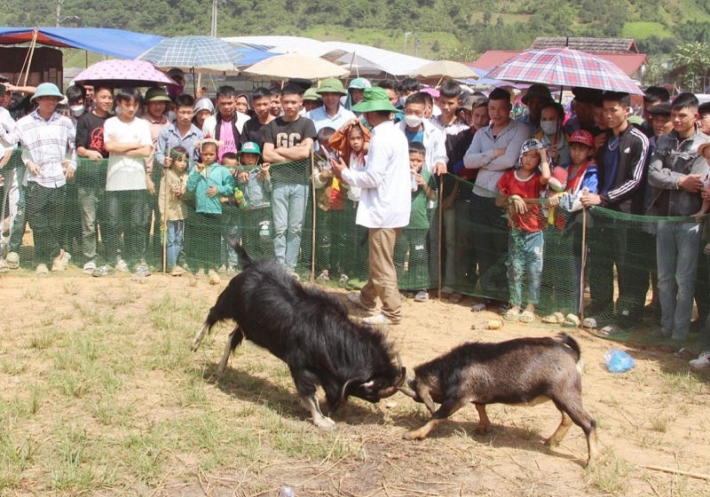Lên vùng cao Ngọc Chiến vui hội mừng cơm mới