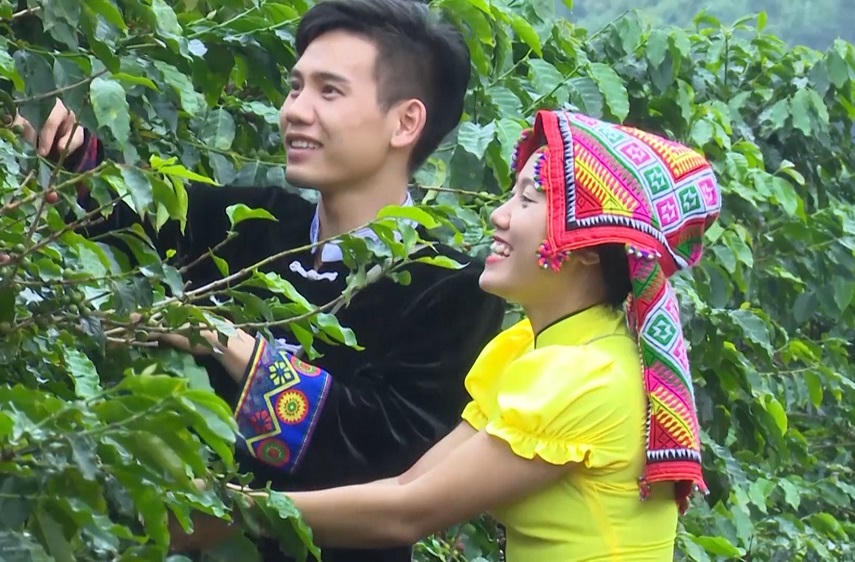 Mai Sơn (Sơn La): Chăm lo phát triển kinh tế vùng đồng bào dân tộc thiểu số