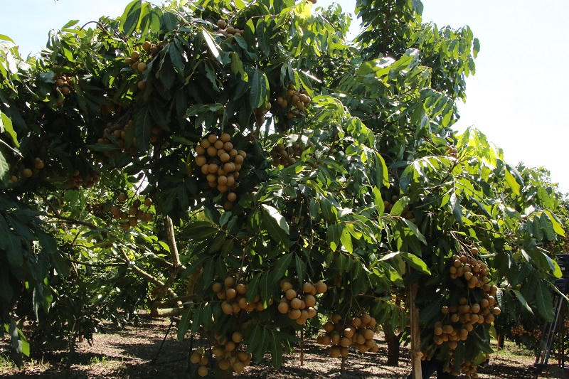 Yên Châu: Nâng cao chất lượng cuộc sống vùng đồng bào dân tộc thiểu số 