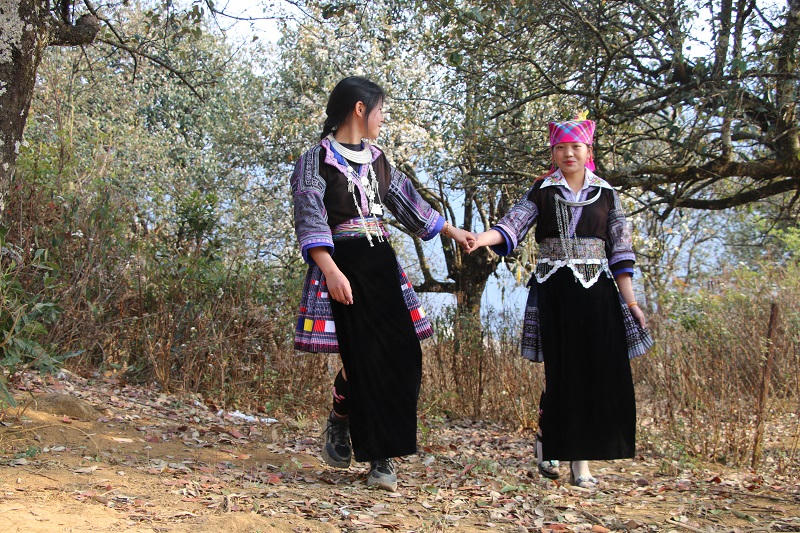 Rộn ràng Ngày hội hoa sơn tra trên rẻo cao Ngọc Chiến