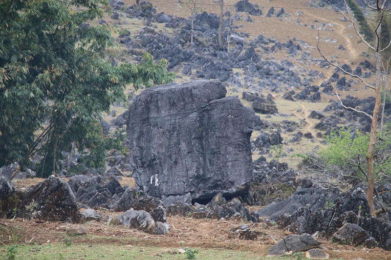 Khám phá rừng đá tai mèo trên cao nguyên Tủa Chùa