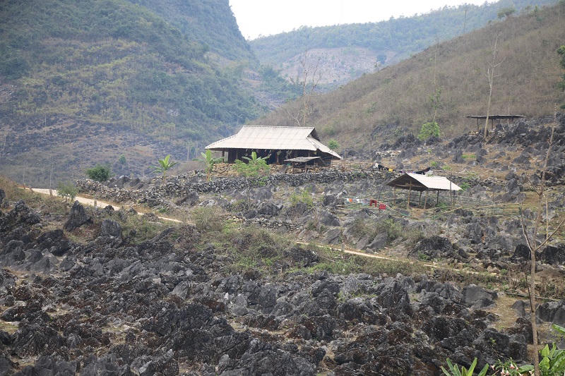 Khám phá rừng đá tai mèo trên cao nguyên Tủa Chùa