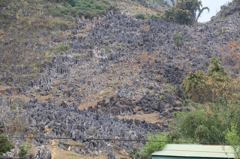 Khám phá rừng đá tai mèo trên cao nguyên Tủa Chùa