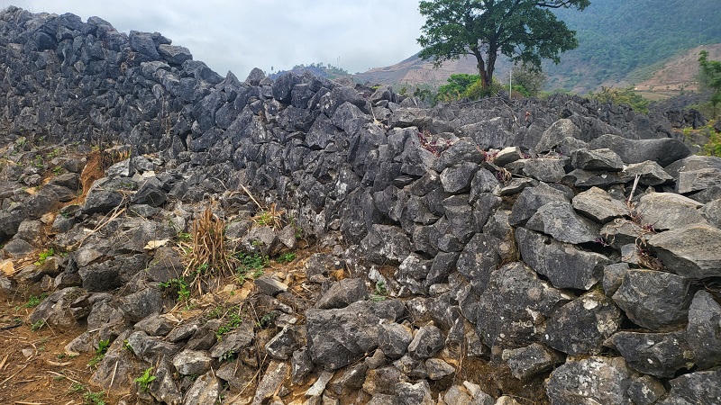 Khám phá rừng đá tai mèo trên cao nguyên Tủa Chùa