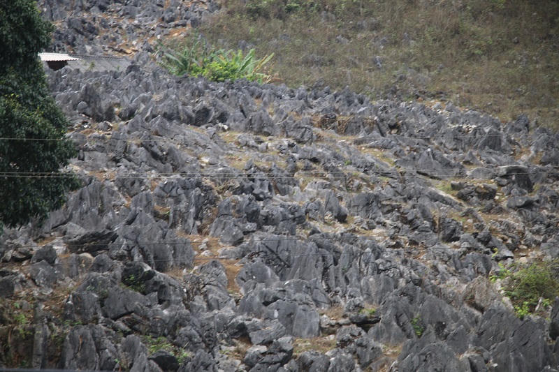 Khám phá rừng đá tai mèo trên cao nguyên Tủa Chùa