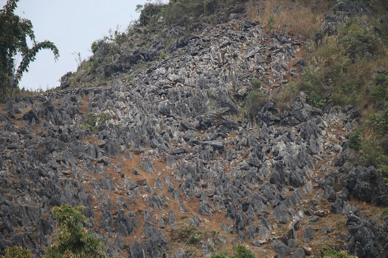 Khám phá rừng đá tai mèo trên cao nguyên Tủa Chùa