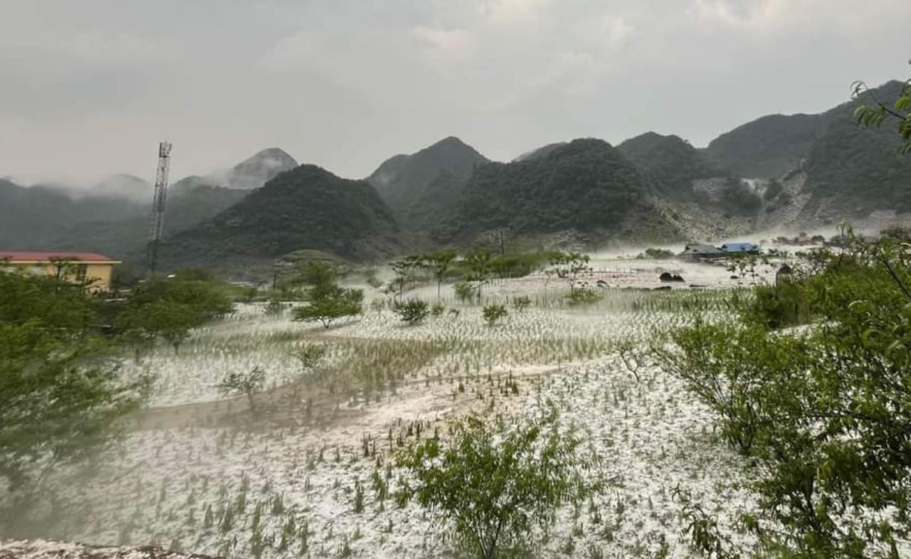 Mưa đá trắng một vùng ở Sơn La, Lào Cai