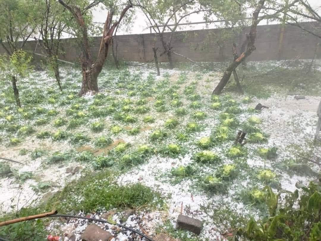 Mưa đá trắng một vùng ở Sơn La, Lào Cai