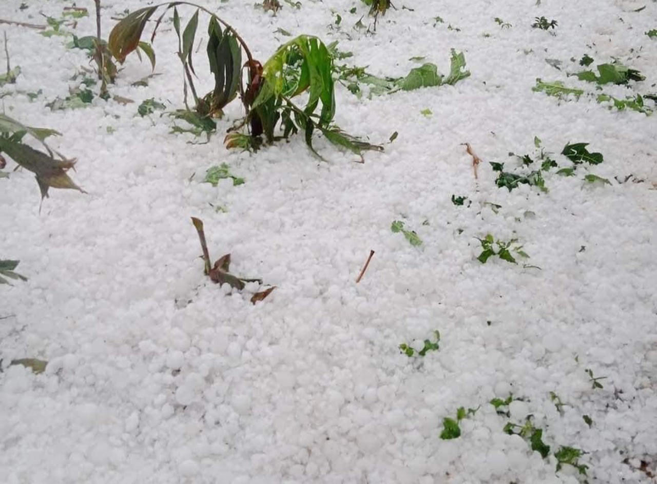 Mưa đá trắng một vùng ở Sơn La, Lào Cai