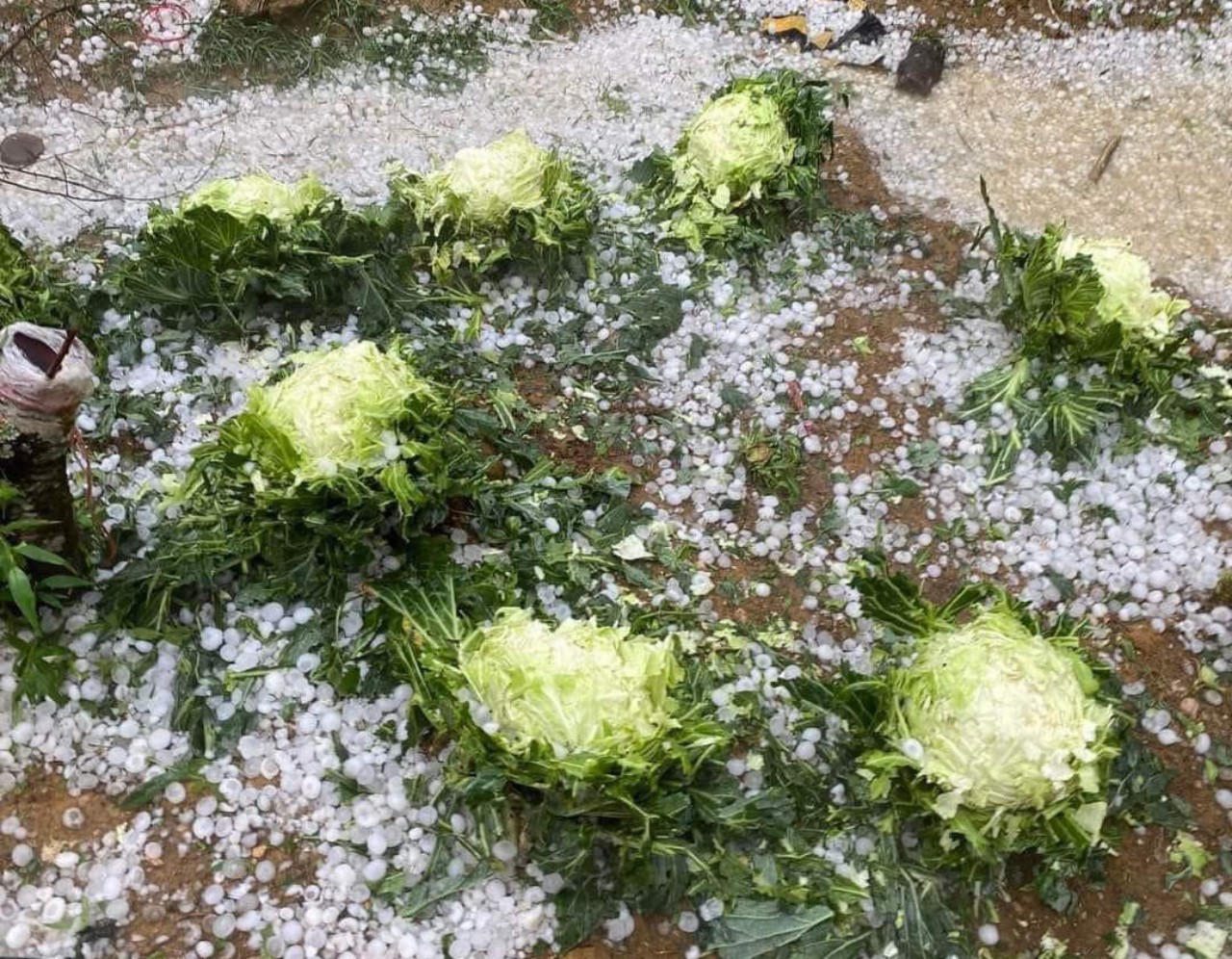 Mưa đá trắng một vùng ở Sơn La, Lào Cai