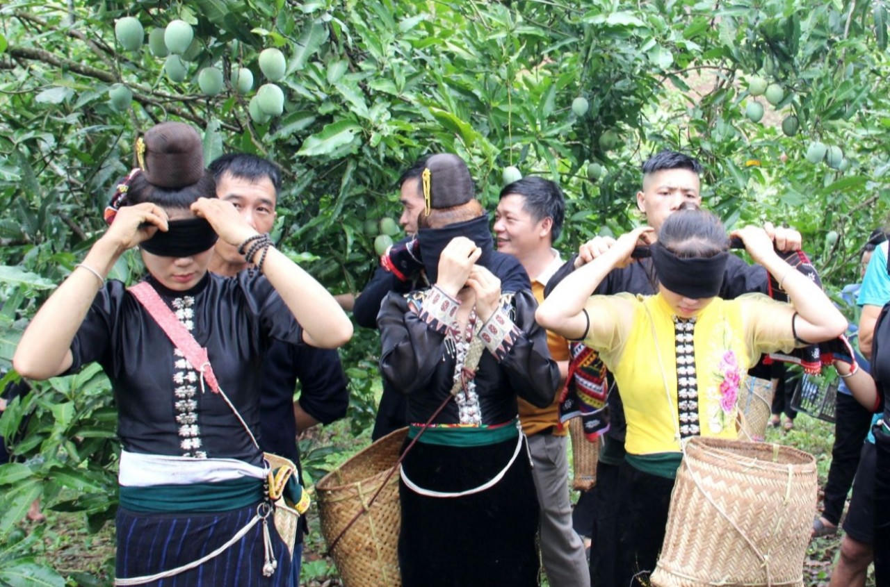 Đặc sắc Ngày hội xoài Yên Châu