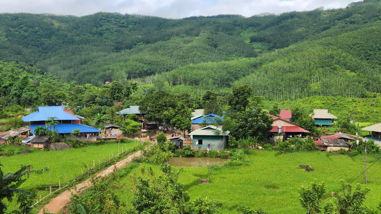 Sìn Hồ phát triển cây ăn quả trên đất dốc theo hướng bền vững