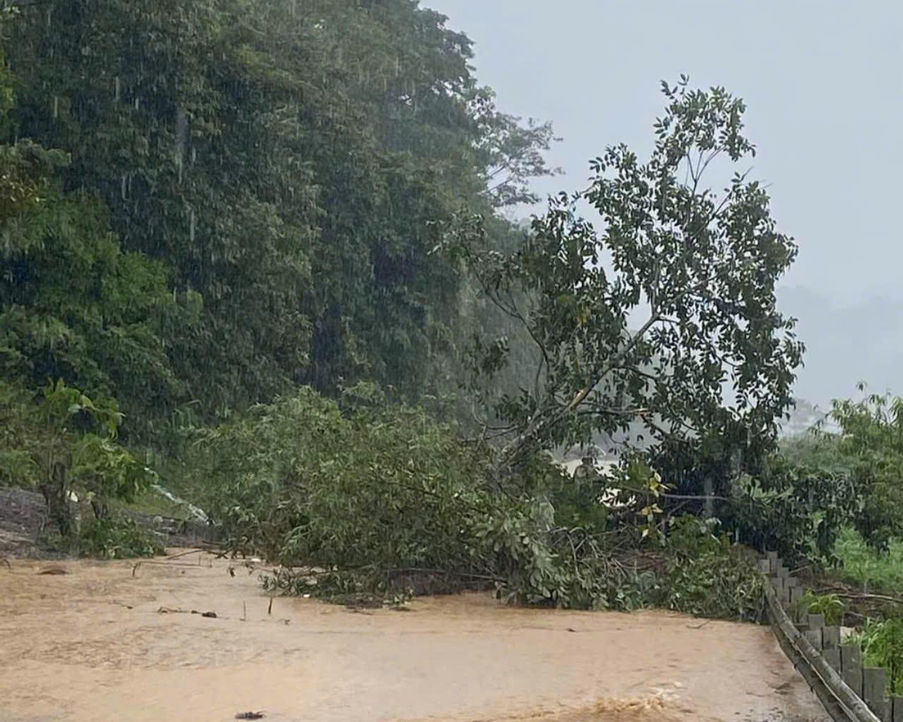 Sơn La: Mưa lớn trên diện rộng gây ra lũ quét, sạt lở, ngập úng