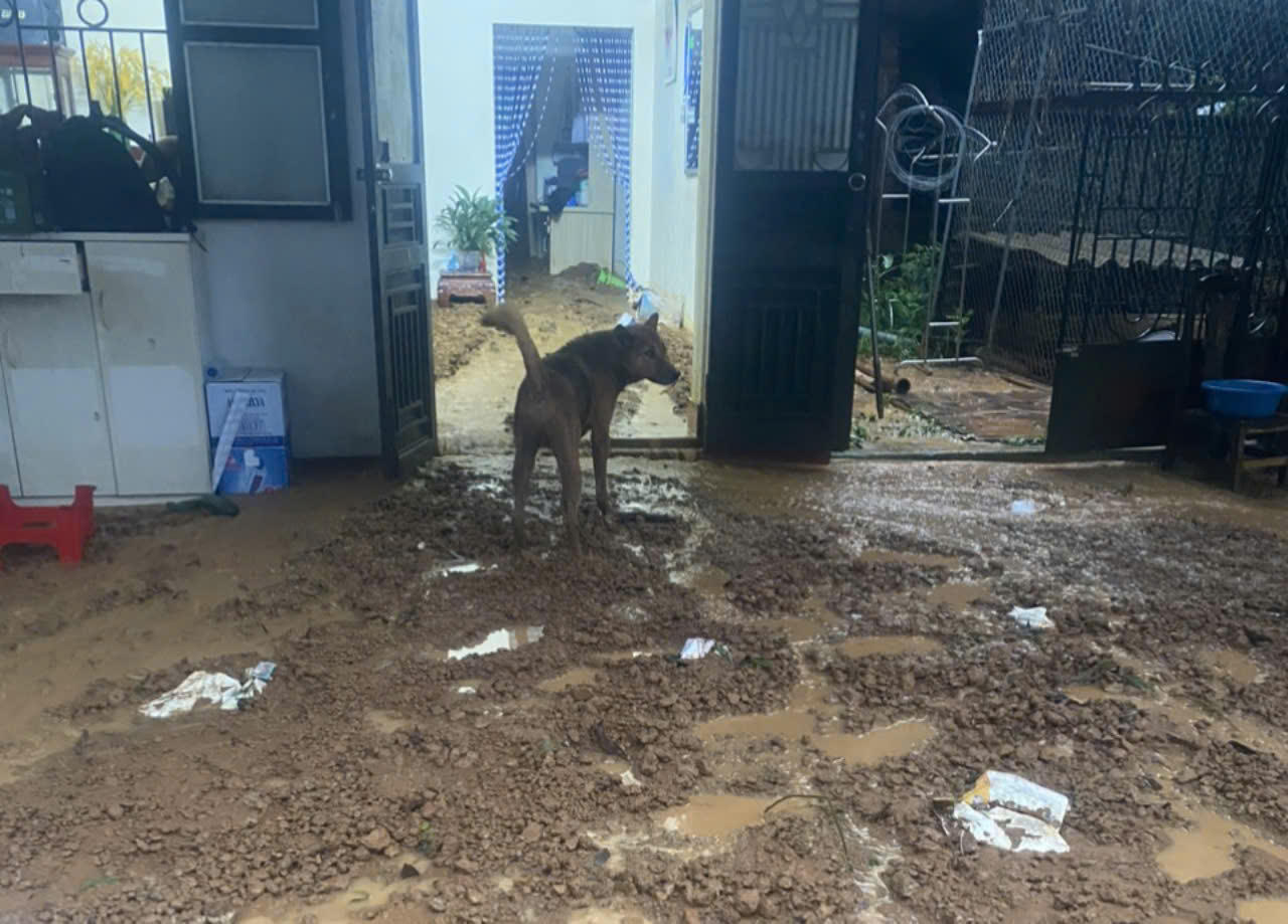 Cảnh lũ dữ 'bủa vây' nhiều nơi tại Sơn La 