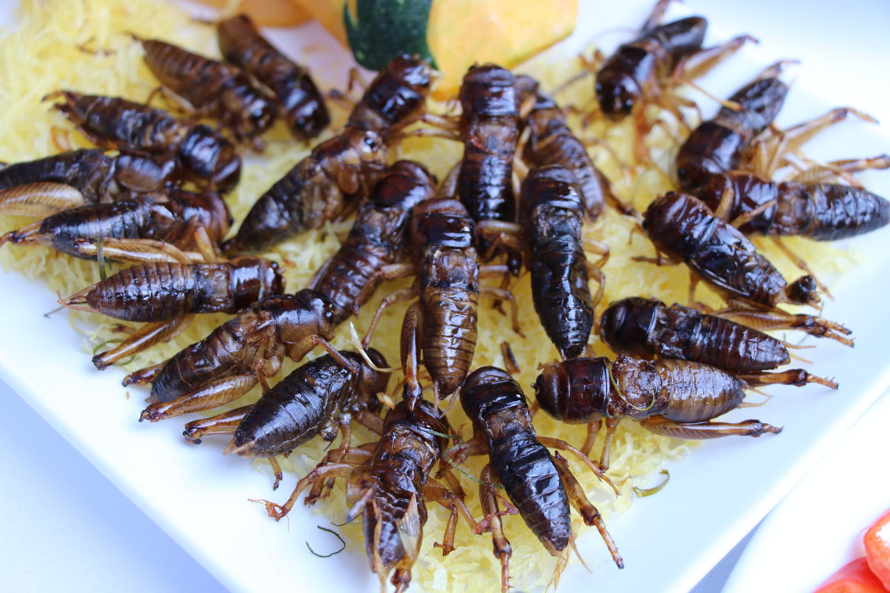 Đặc sắc mâm cỗ Tết 'Xíp xí' của người Thái trắng Sơn La