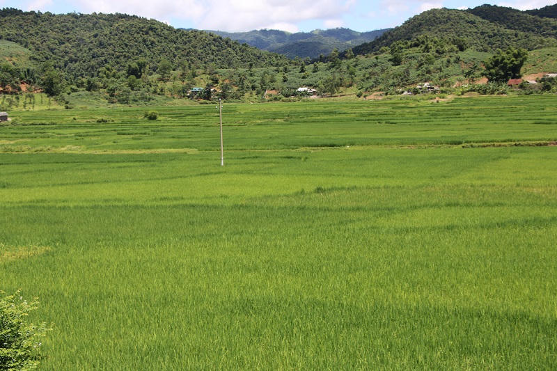 Huyện biên giới Sốp Cộp chung sức xây dựng nông thôn mới