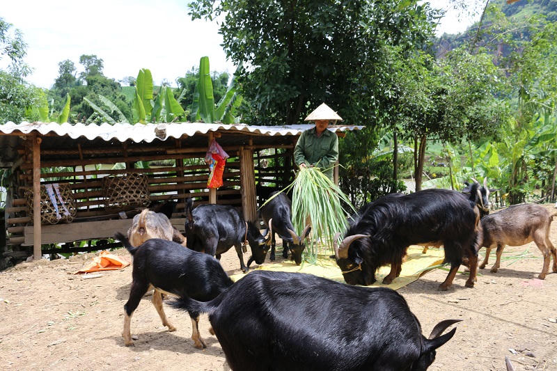 Nậm Pồ chăm lo đời sống đồng bào dân tộc thiểu số