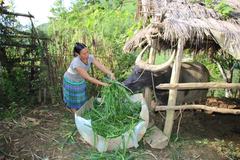 Mường Nhé nỗ lực giảm nghèo
