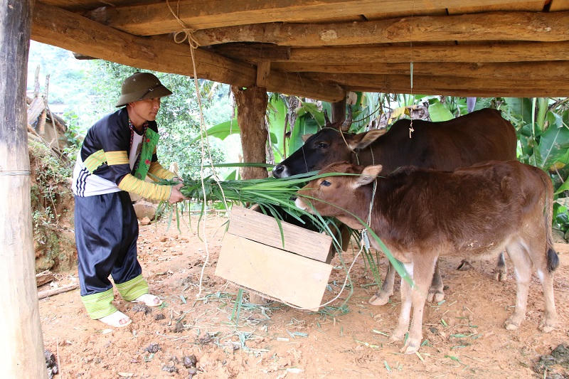 Mường Nhé nỗ lực giảm nghèo