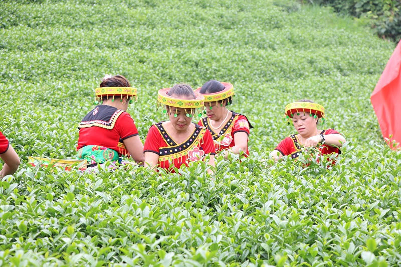 Từ đột phá trong xây dựng nông thôn mới đến những bản làng đáng sống ở Sơn La