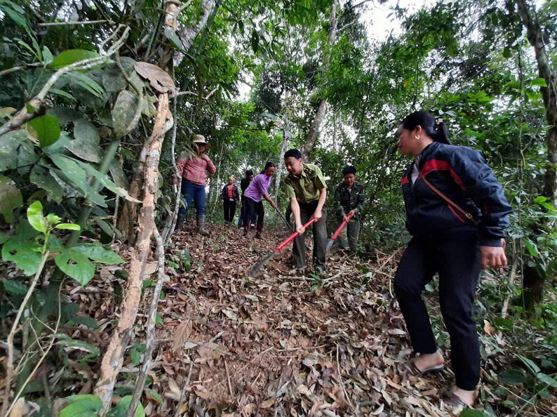 Cảnh giác nguy cơ cháy rừng mùa khô hanh