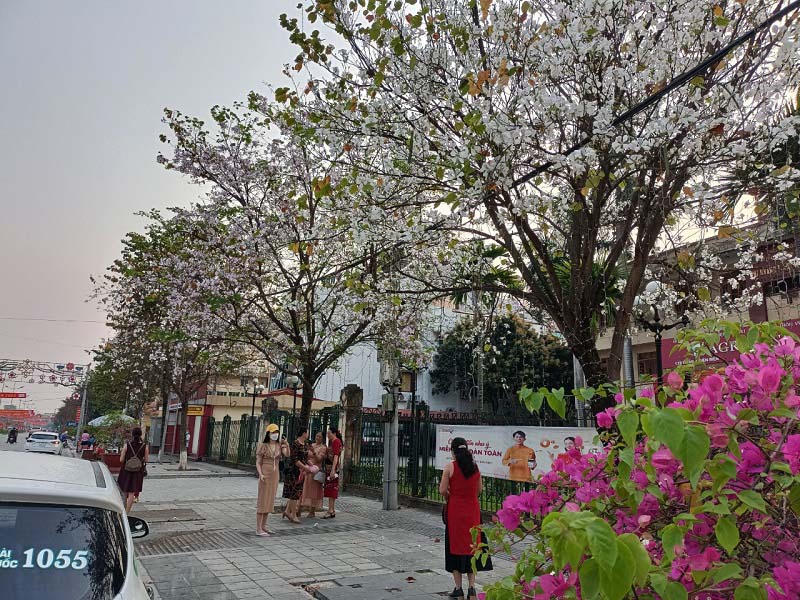 Nhiều hoạt động sẽ diễn ra tại Lễ hội hoa ban Điện Biên năm 2025