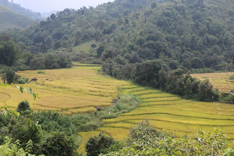 Sức sống nơi ngã ba biên giới A Pa Chải