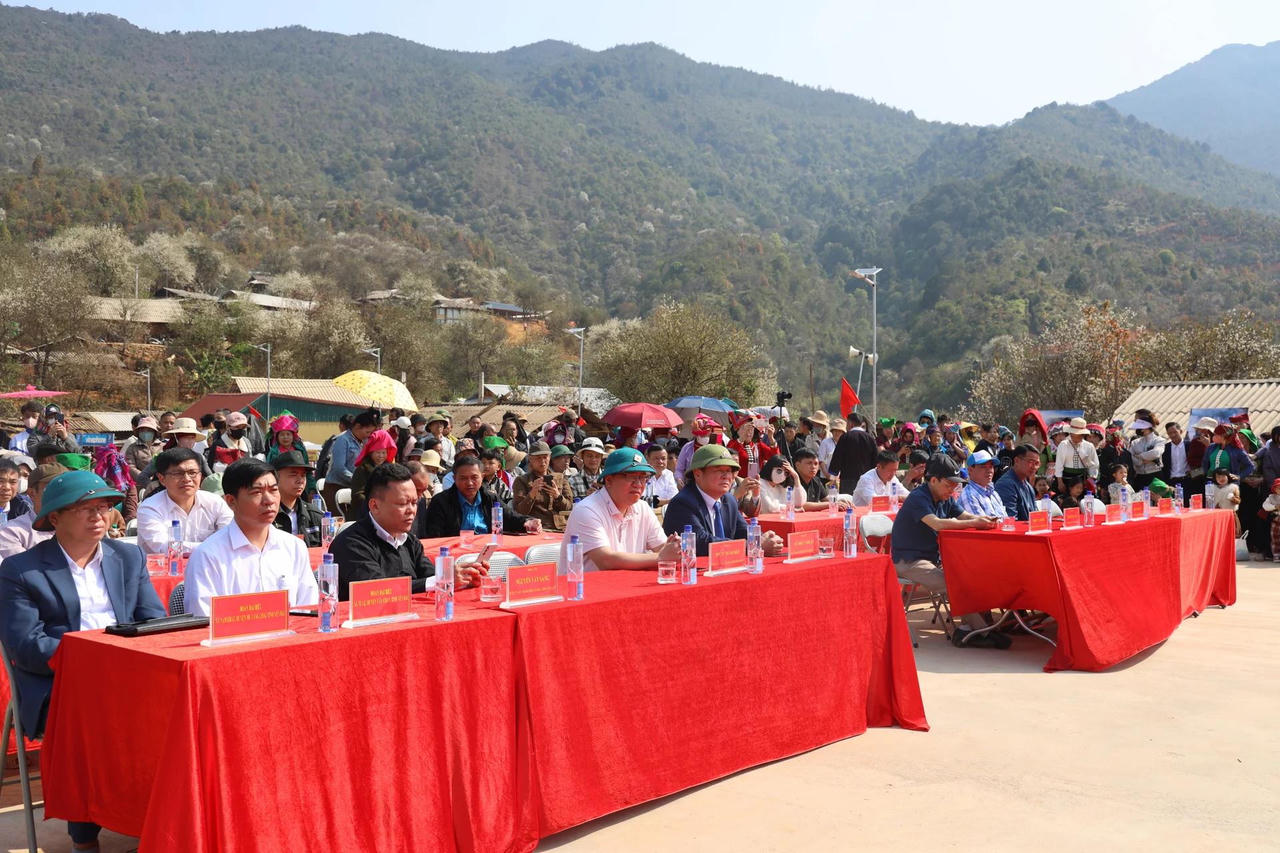 Ngắm mùa hoa sơn tra khoe sắc ở Ngọc Chiến