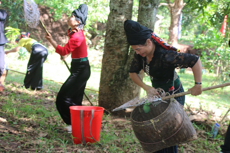 Đặc sắc Ngày hội xoài Yên Châu
