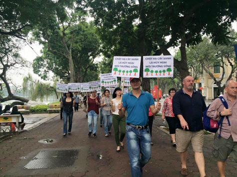 HN lập đoàn thanh tra, đình chỉ hàng loạt cán bộ vụ chặt cây