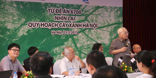 HN chặt cây xanh: Có thể xem xét xử lý Hình sự?