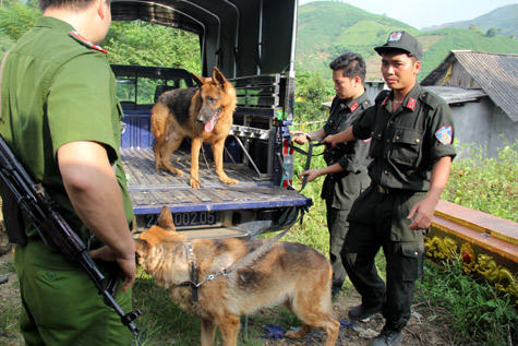 Yên Bái huy động hơn 300 trinh sát truy bắt hung thủ vụ thảm án